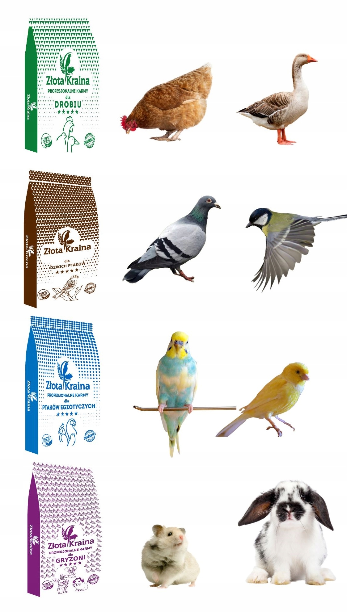 Papuga Falista NAJTANIEJ Super jakość !!! 10 kg Rodzaj mieszanka