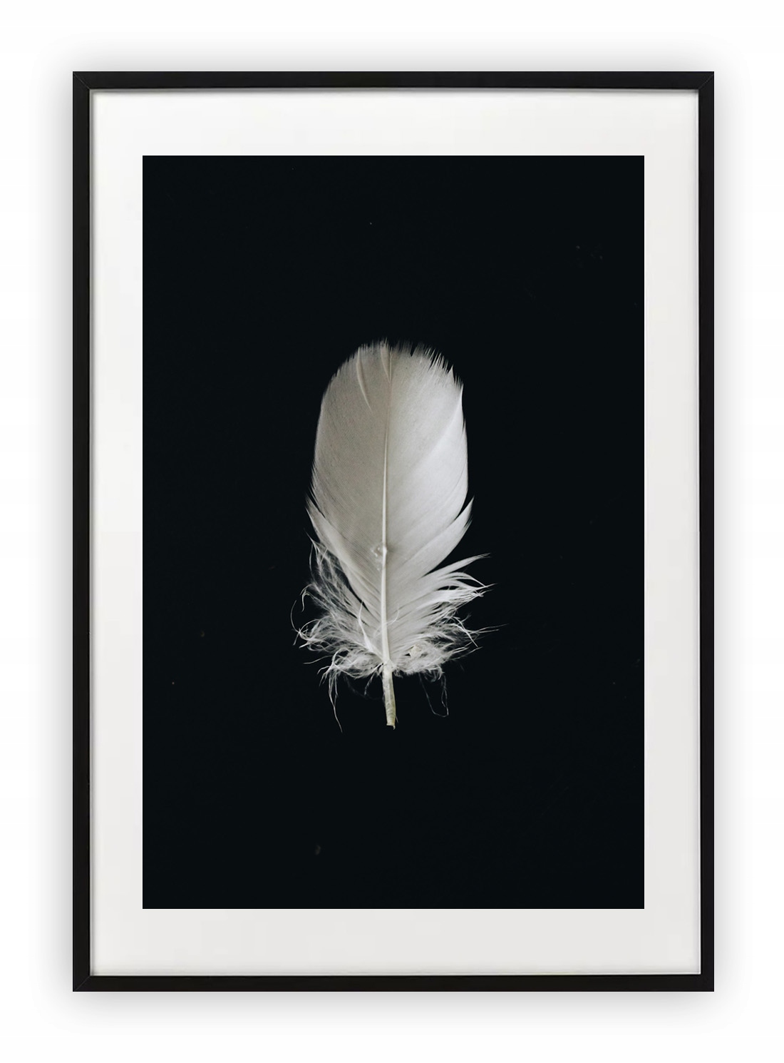 

Plakat A4 21x30 cm Pióro Piórko Czerń Biel