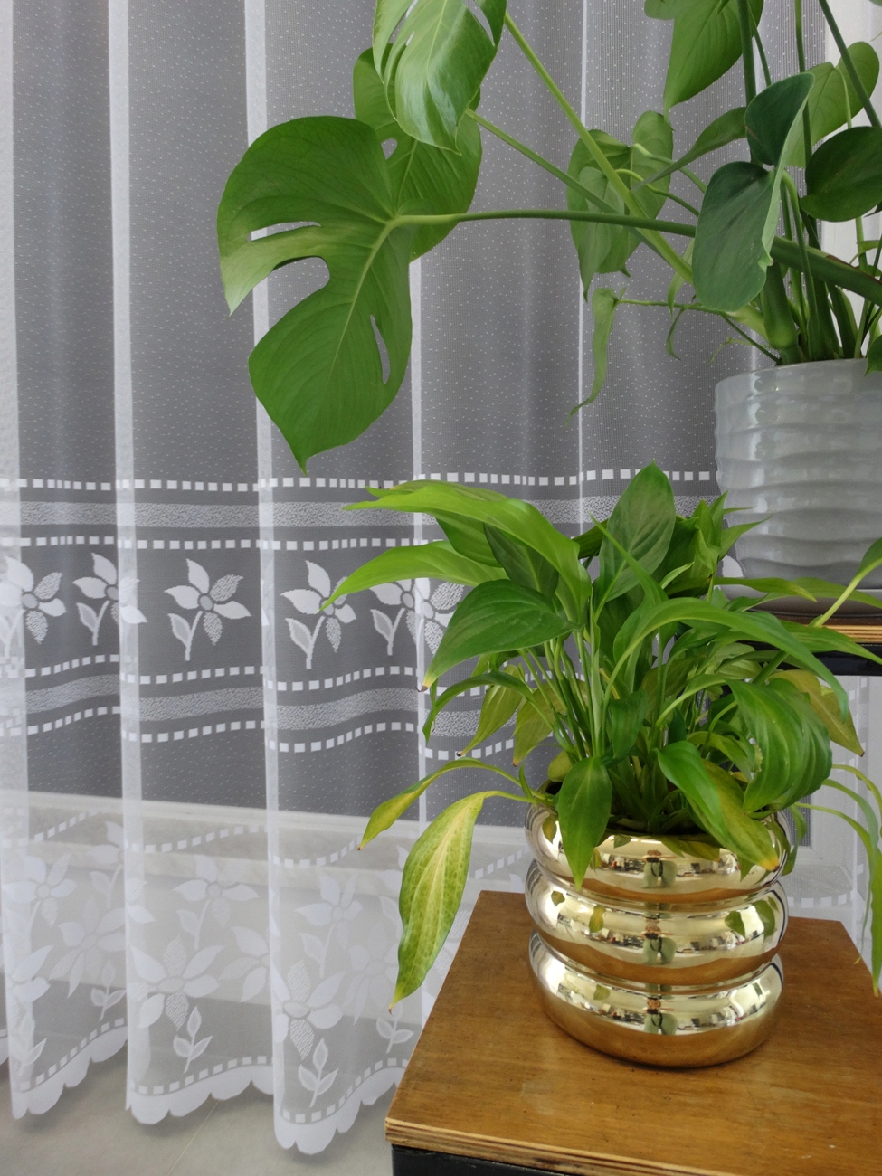 Mg Záclona žakár 623/885 Bílá 350x250 cm hotová s páskou M