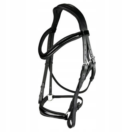 York, Ogłowie bezwędzidłowe Tina Cob