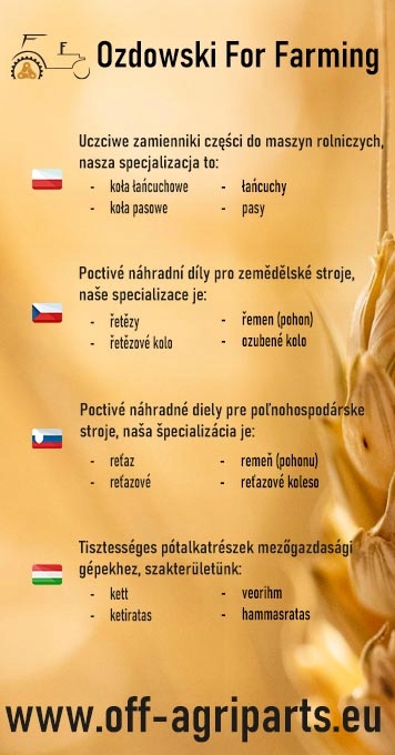 549538 - ŁAŃCUCH NAPĘDU WYSYPU ZIARNA CLAAS L=98 Numer katalogowy oryginału 000549538 0005495381 549538 549538.1