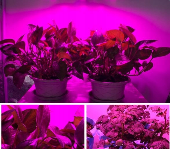 GROW COB MEiSSA LED panel rast rastlín 432D 500W Uhol lúča 120 °