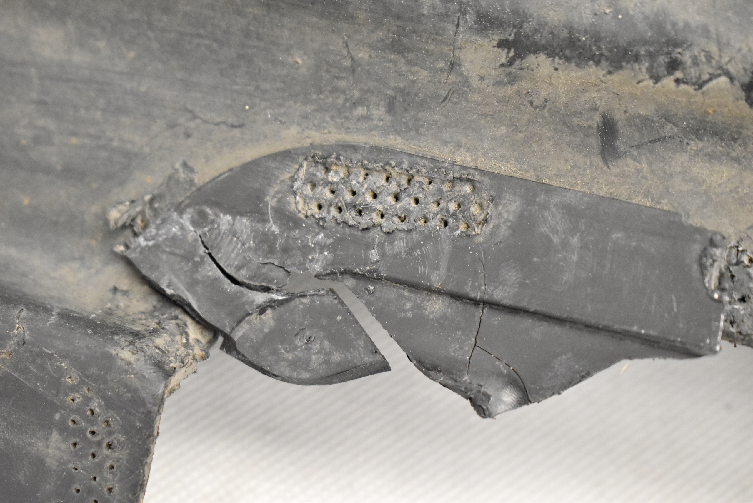 TESLA S RWD AP NADKOLE LEWE PRZEDNIE 1016285-00-D Producent części Tesla