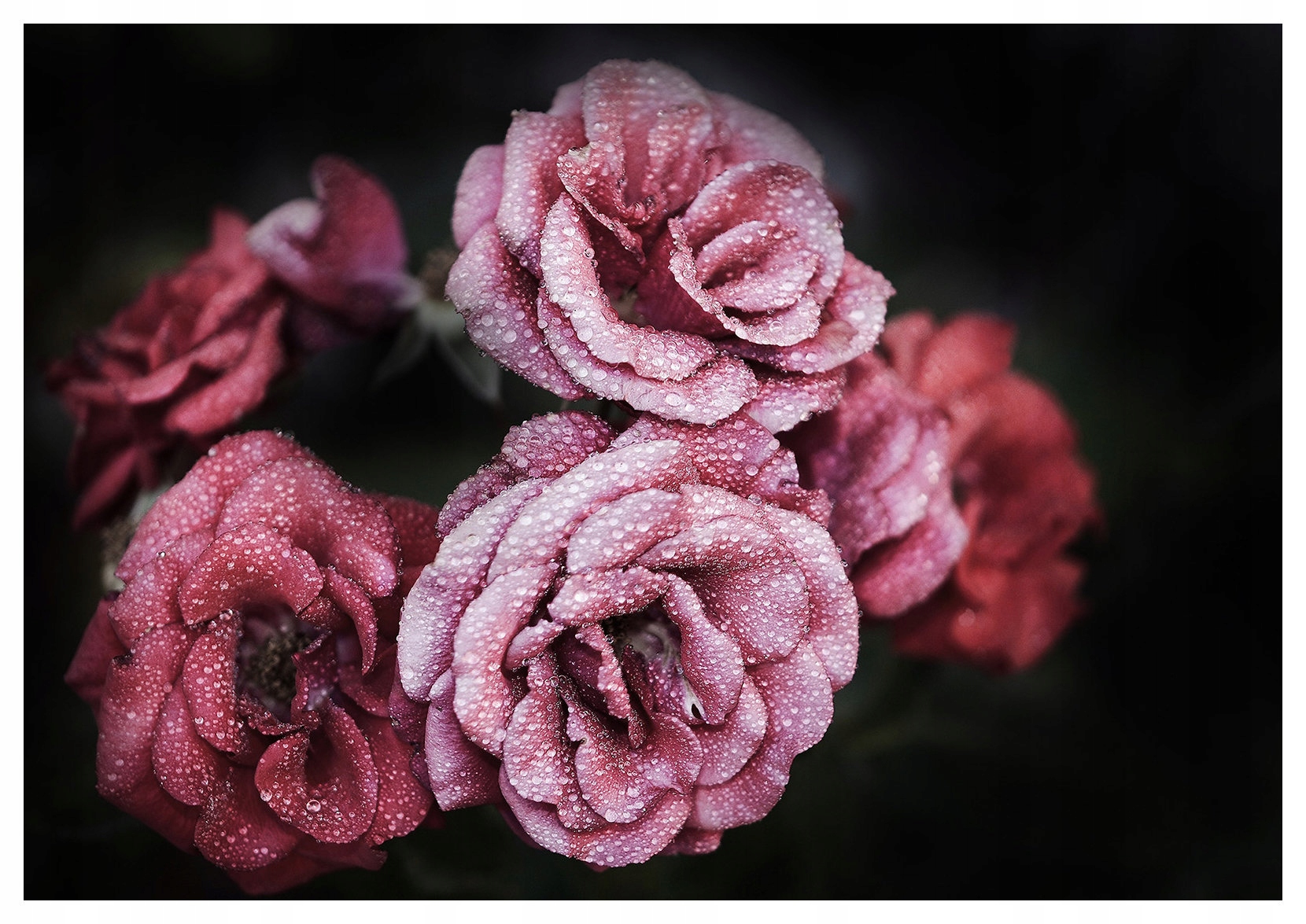 Fototapeta Metalické tyrkysové kruhy abstrakcia na pozadí 300x210 lepidlo