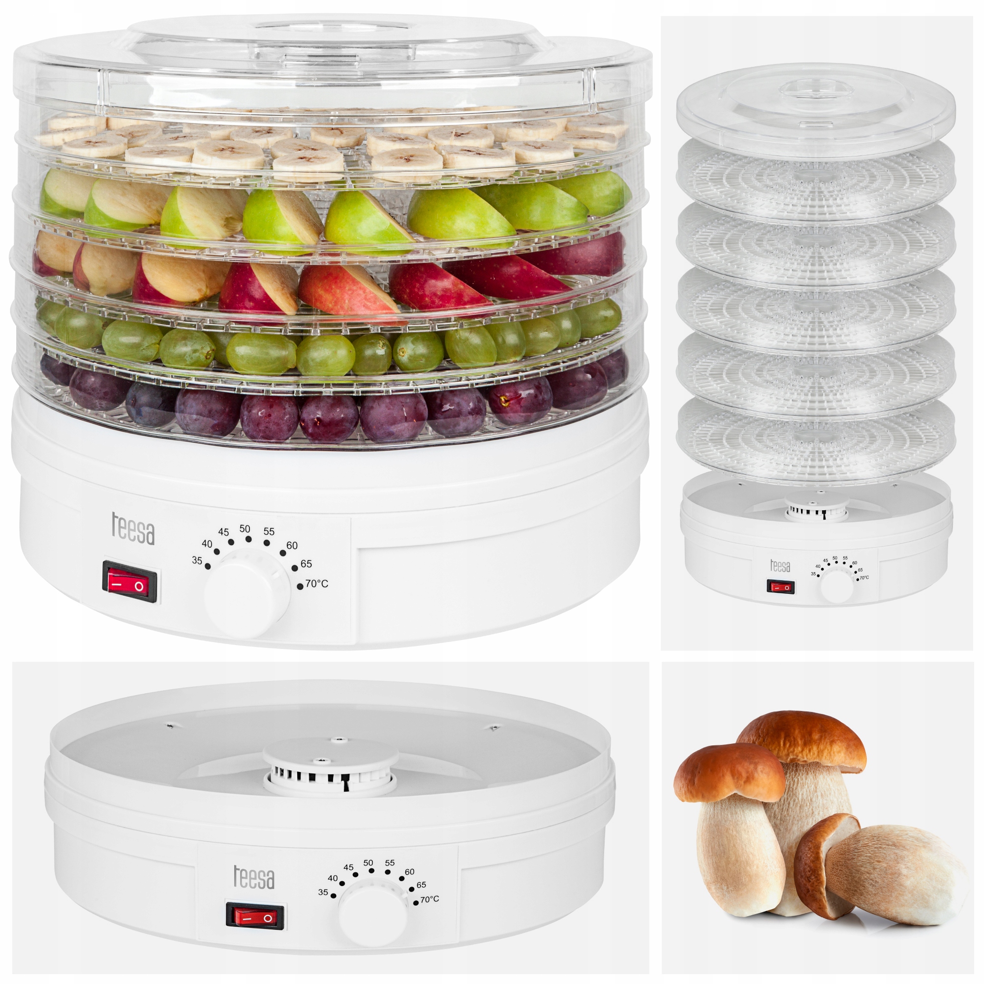 Suszarka spożywcza do grzybów warzyw owoców ziół 250W Teesa