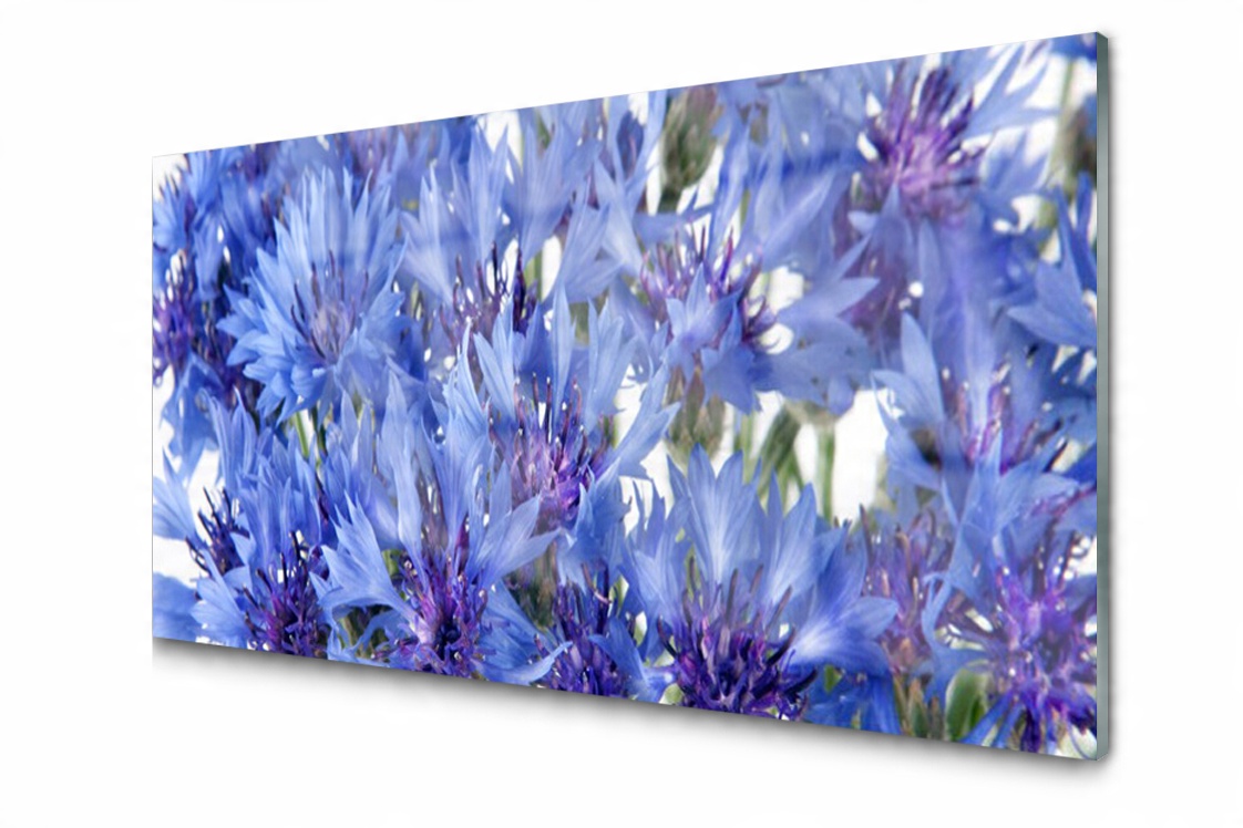

Panel szklany dekoracyjny Kwiaty Roślina 100x50