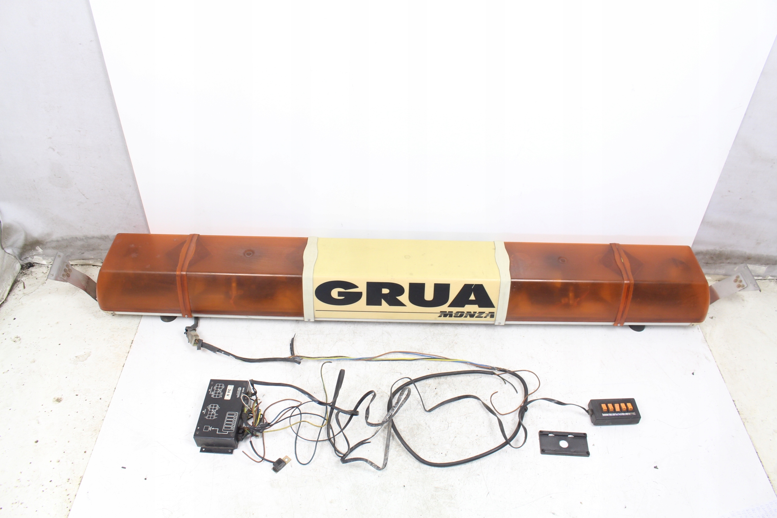 BELKA OSTRZEGAWCZA POMARAŃCZOWA KOGUT MONZA