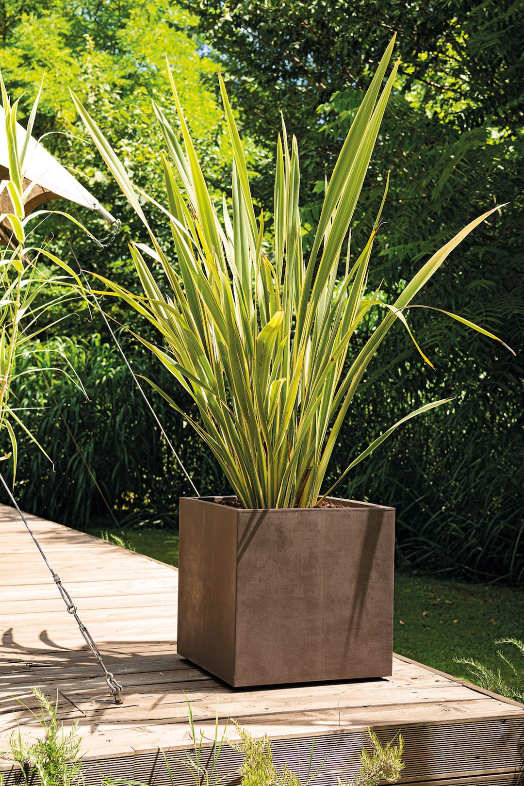 Donica duża Doniczka Kwadratowa 39cm Deroma Cubo Millennium BRĄZOWA Kod producenta 9DF1ZSZ216A