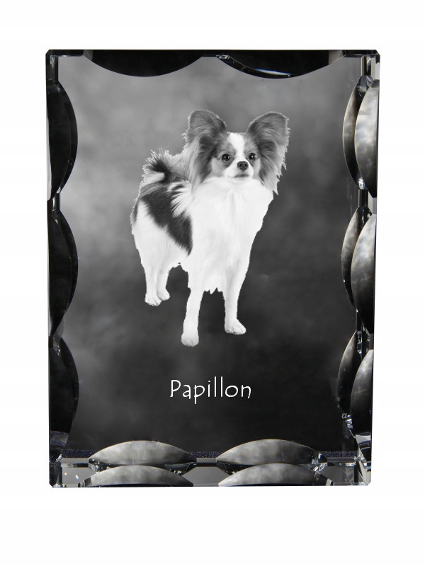 Papillon fotografia psa v ozdobnom kryštáli, suvenír, dekorácia domu