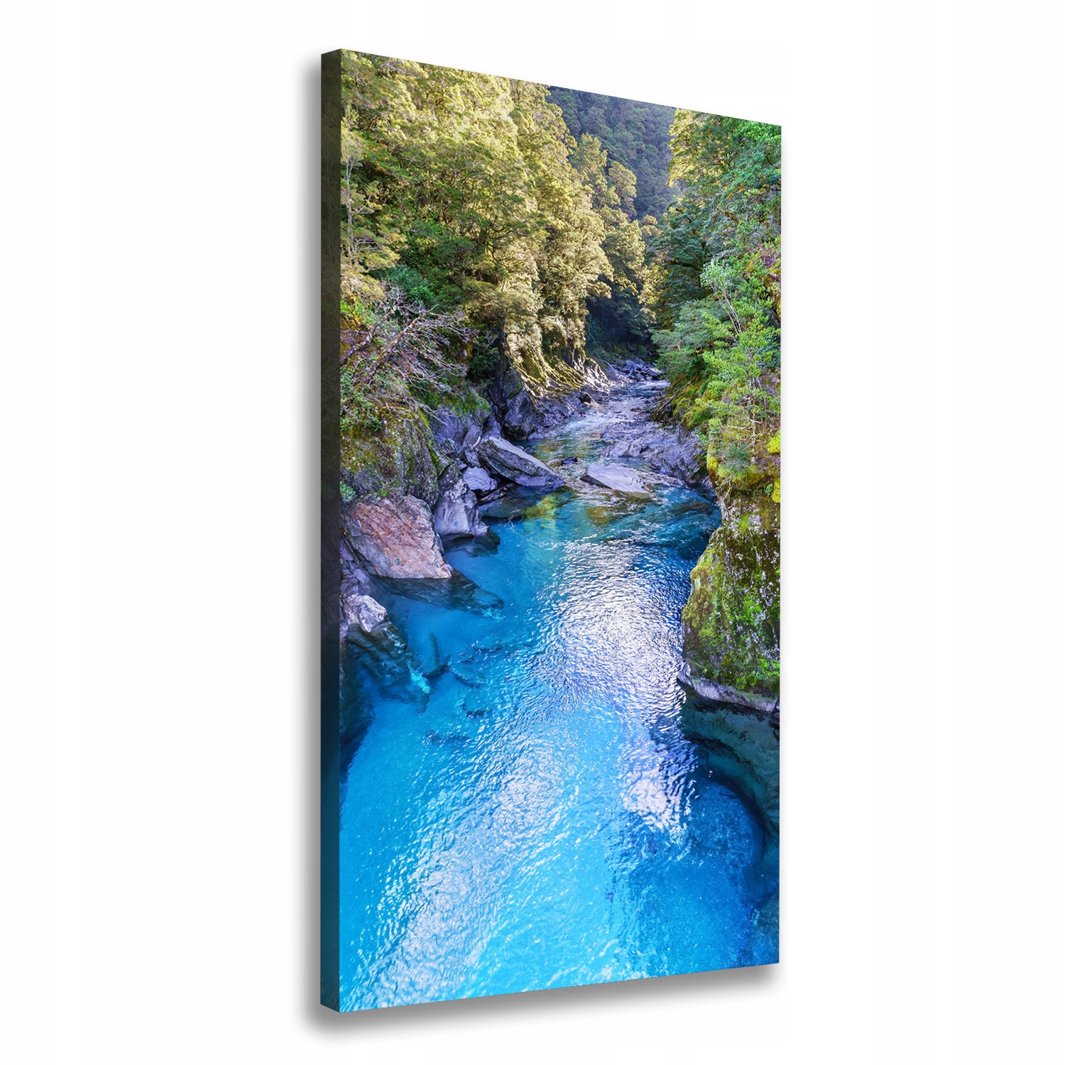

Foto obraz canvas na ramie Rzeka w lesie 70x140 cm