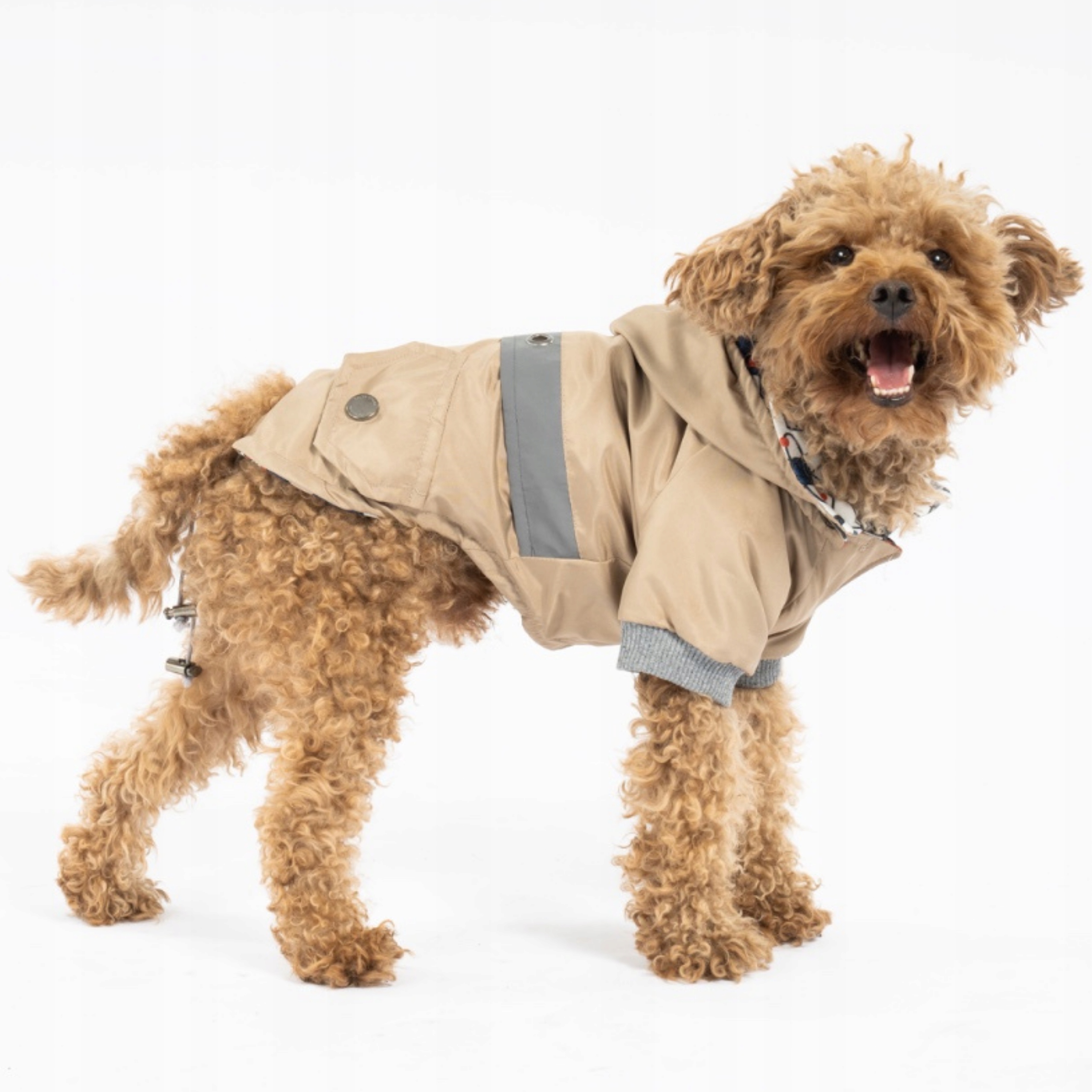Levně Zateplená nepromokavá bunda pro malého psa S-2XL béžová