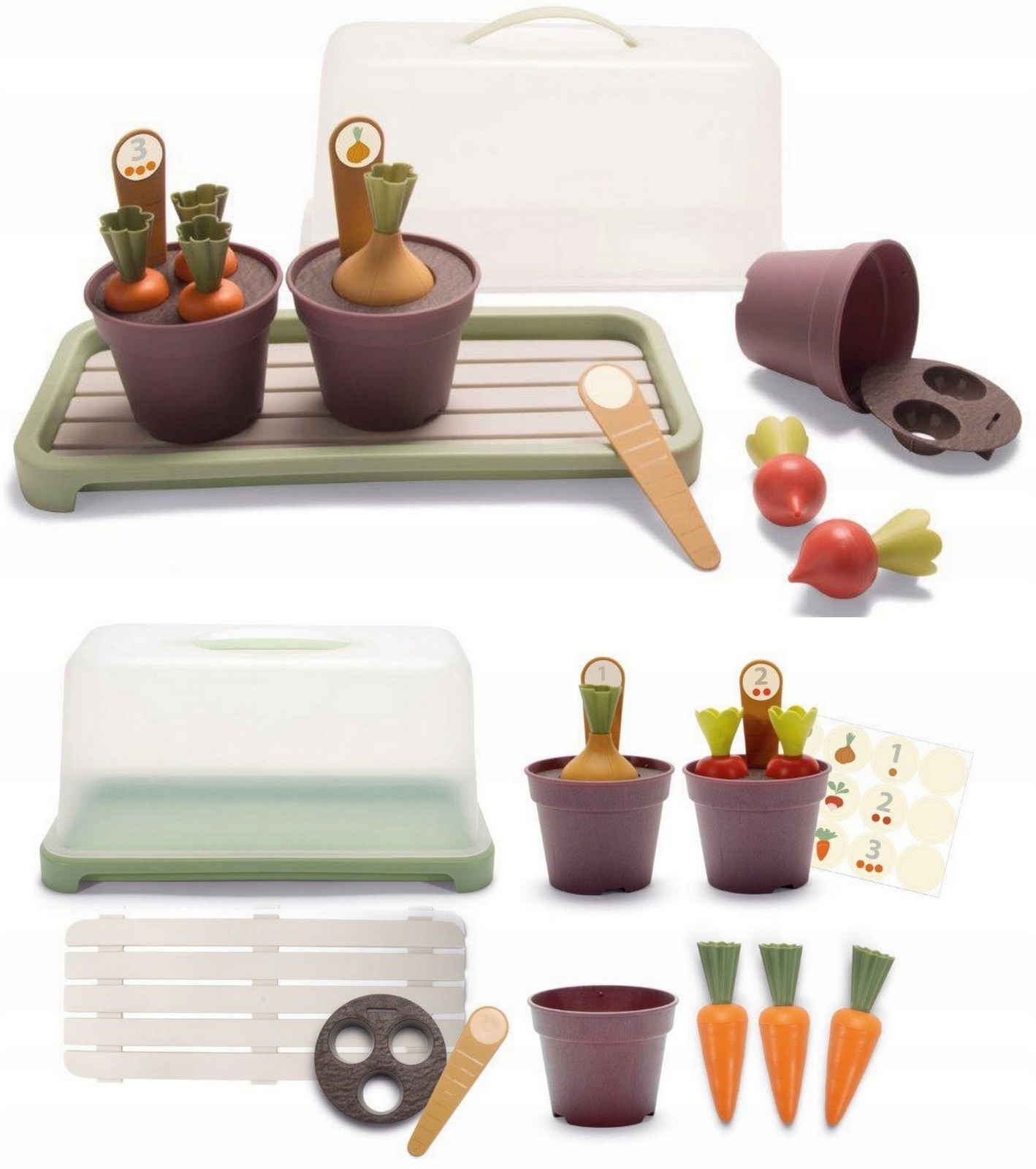 

Green Garden Zestaw Mini szklarnia z roślinami Bio