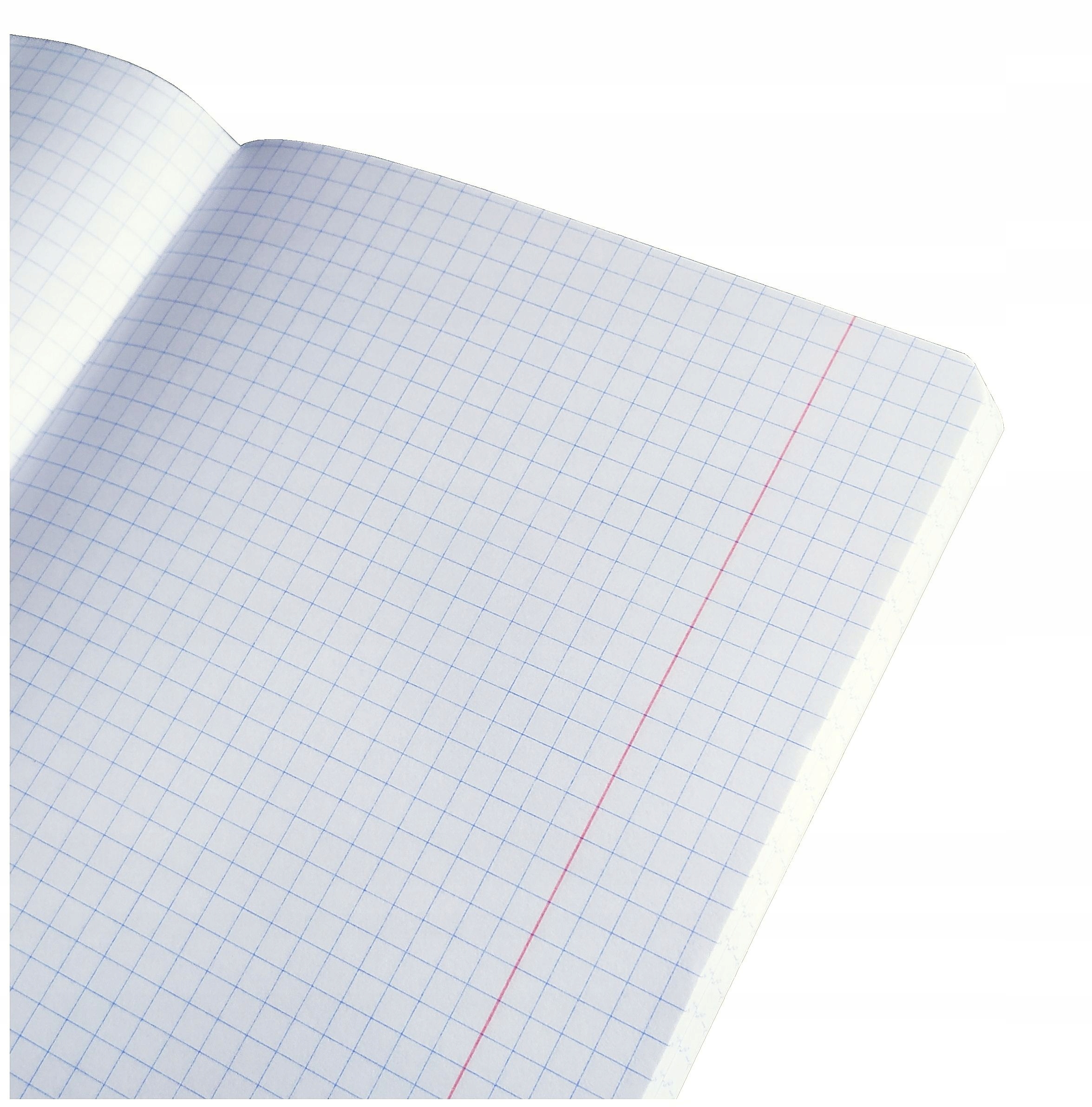 Zeszyt szkolny A5 60 kartek KRATKA notes brulion EAN (GTIN) 5904358914949