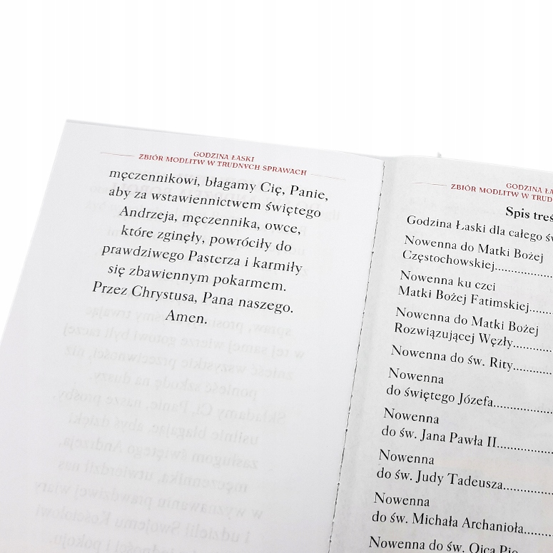 GODZINA ŁASKI - MODLITEWNIK W TRUDNYCH SPRAWACH Wydawnictwo inne