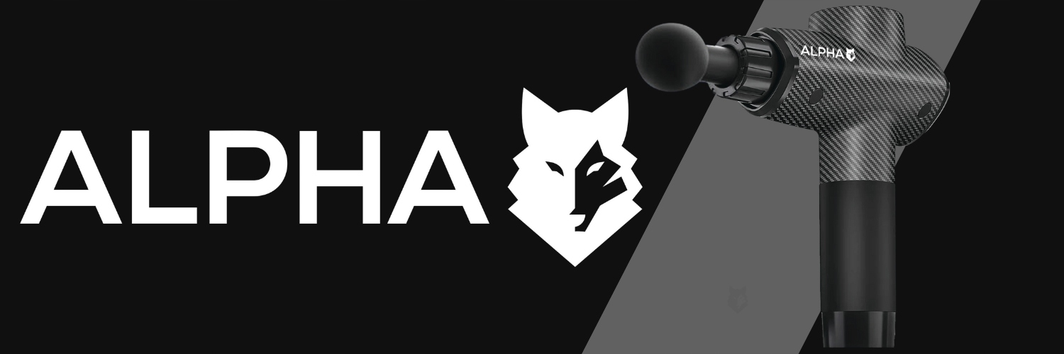 МАСАЖНИЙ ПІСТОЛЕТ МАСАЖЕР СПИНИ MASSAGE GUN PRO ALPHA Тип корпусу