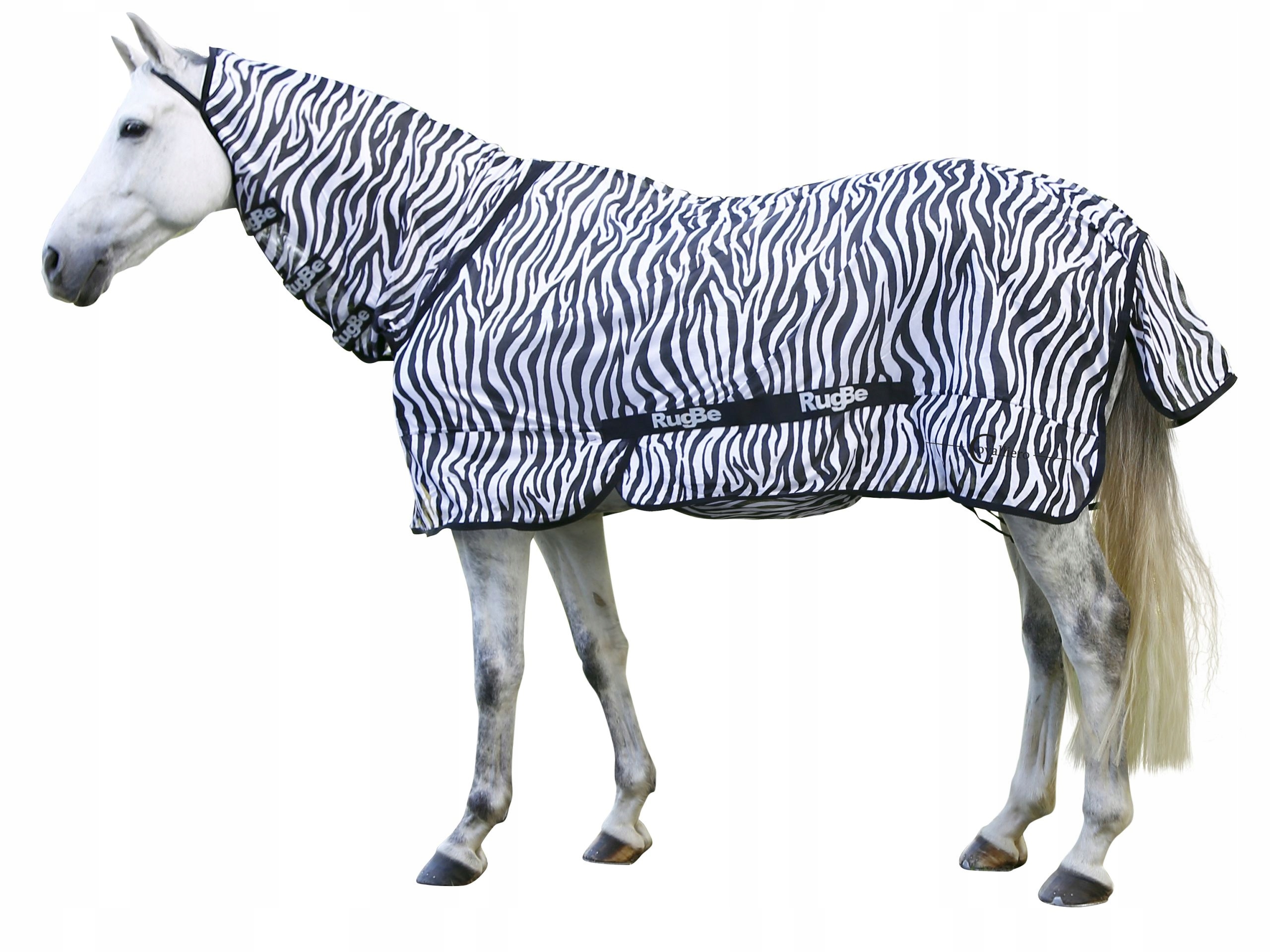 Derka przeciwowadowa dla konia Rugbe Zebra 165cm
