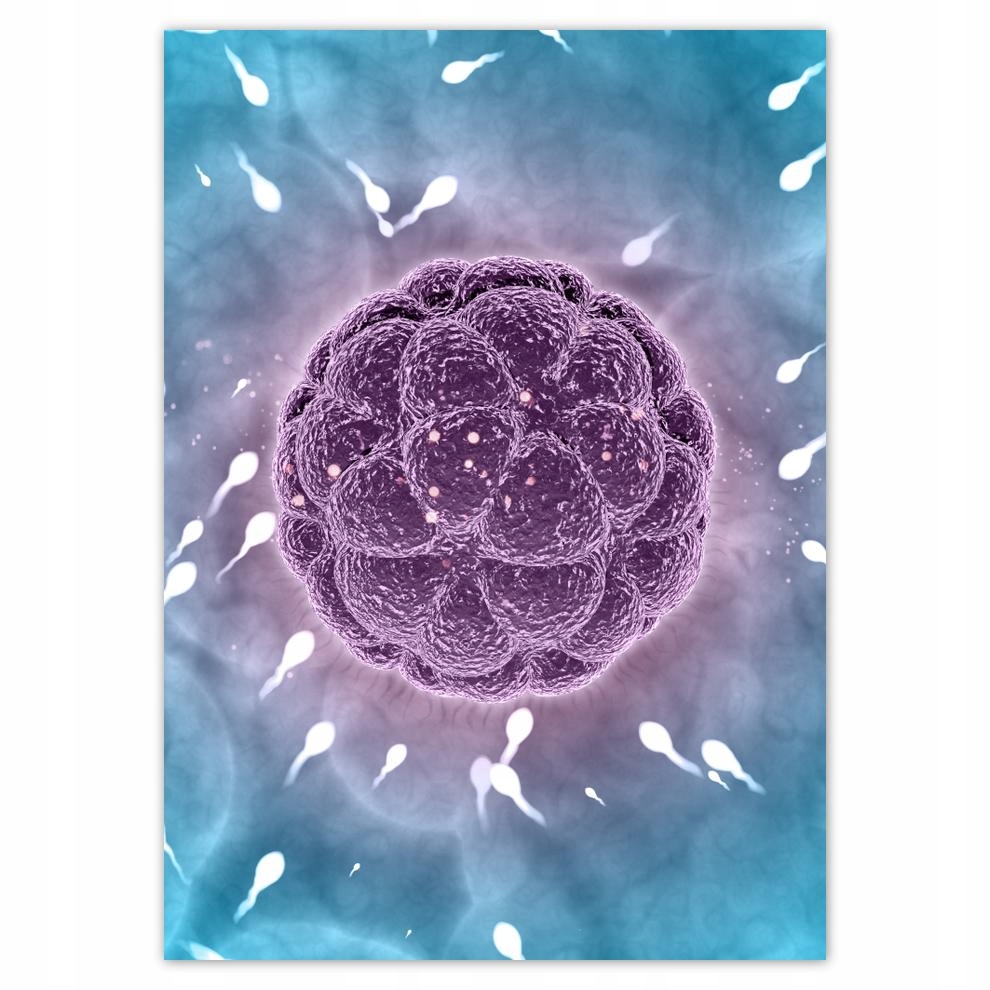 

Naklejki 50x70 Nie zostawaj w tyle