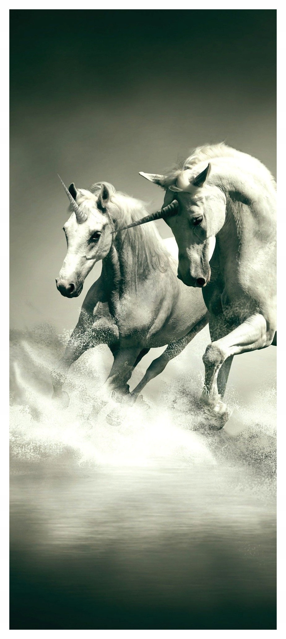 Samolepka Fototapeta Koně Jednorožci Galop Svoboda Fantazie 91x211