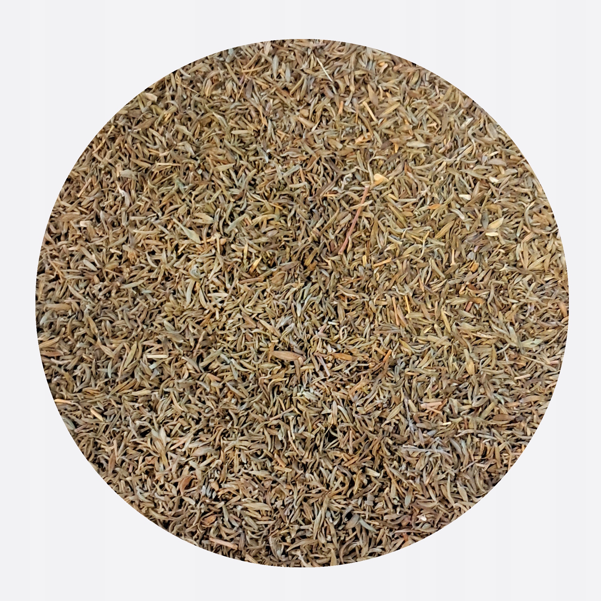 Tymián obecný Bylina tymiánu sušeného (Thymus vulgaris) Mystic.Garden 2 kg