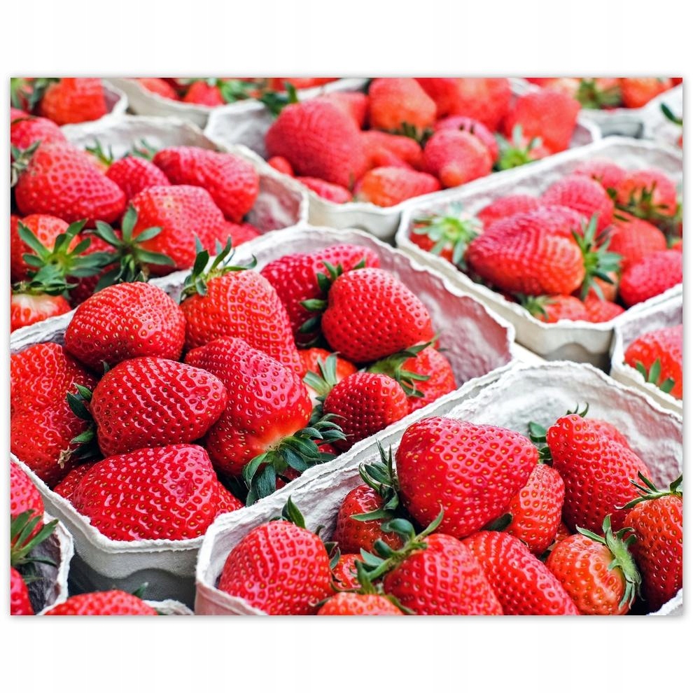 

Plakat 50x40 Kuchenne Obrazy Rewolucje