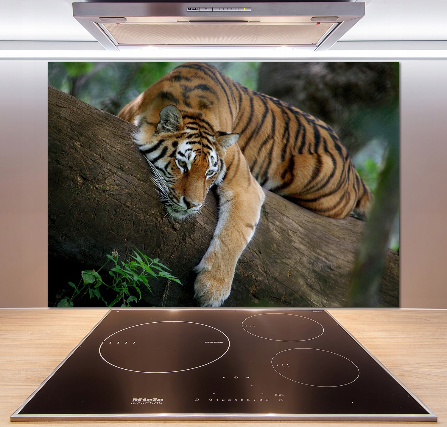 

Panel do kuchni Tygrys na drzewie 100x70 cm + Klej