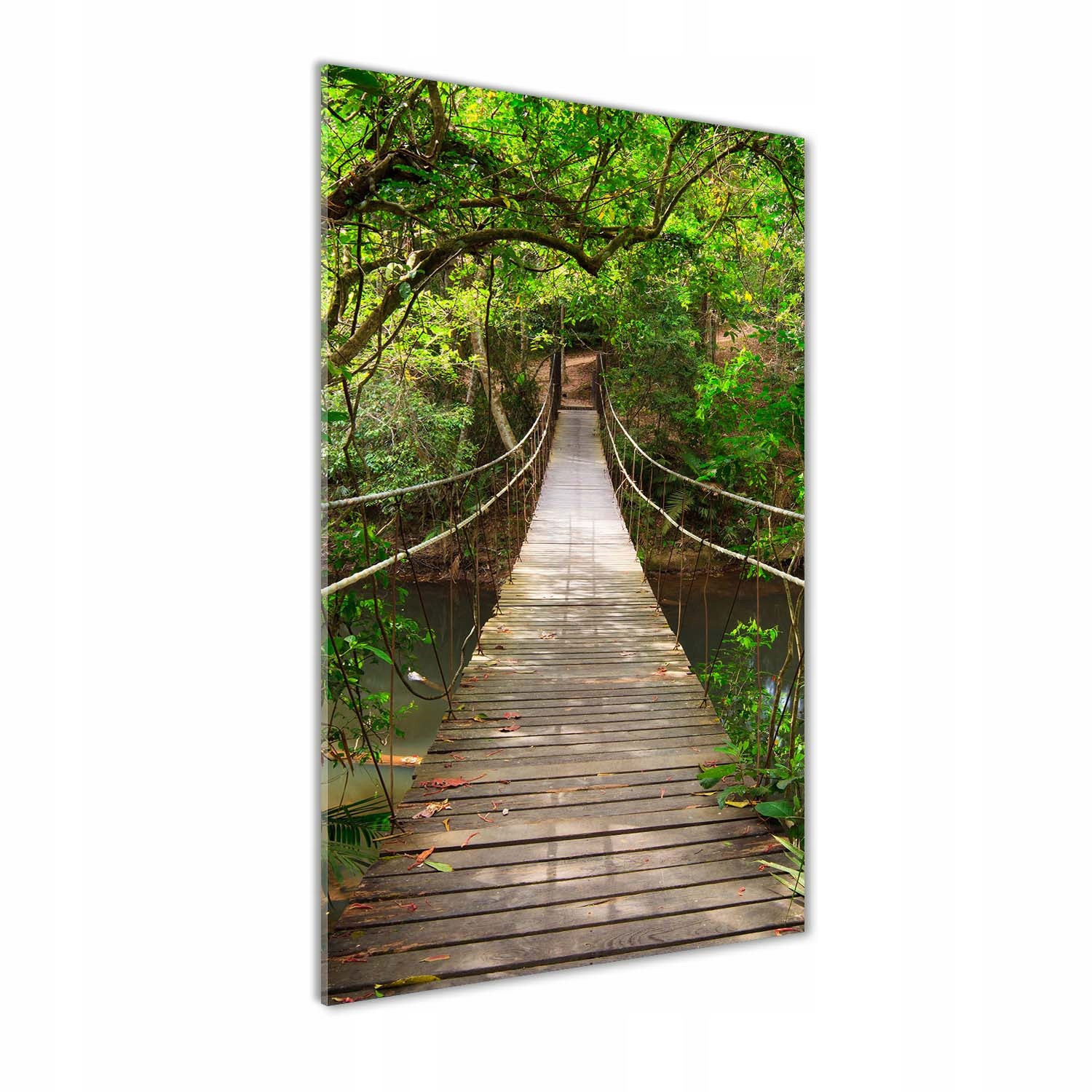 Fotoobraz tvrzené sklo Závěsný most 50x100 cm
