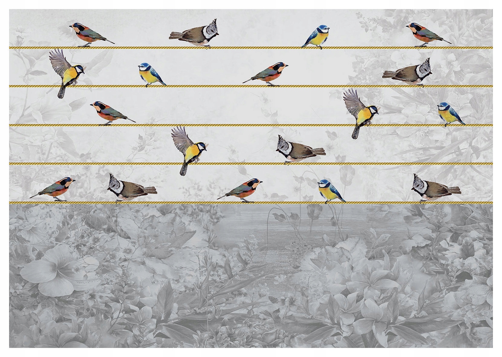 Fototapeta Vtáky na vetvičkách kvety vinylová 368x254 lepidlo