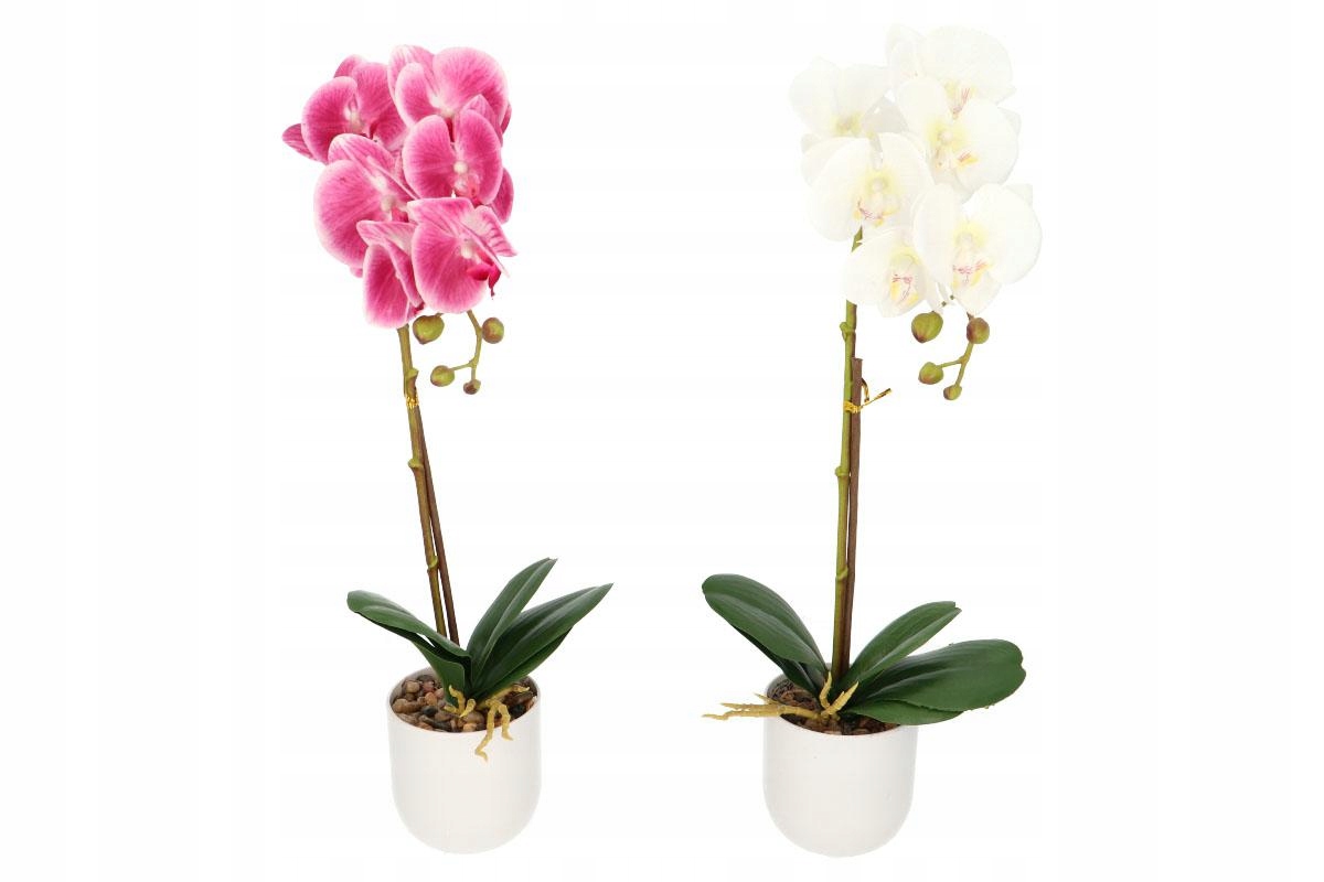 květina orchidej v květináči 50 cm