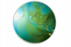 Joico HydraSplash szampon do suchych 1000ml Marka Joico