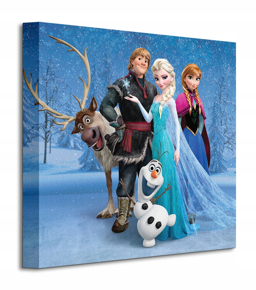 

Disney Kraina Lodu Frozen Obraz na płótnie 30x30