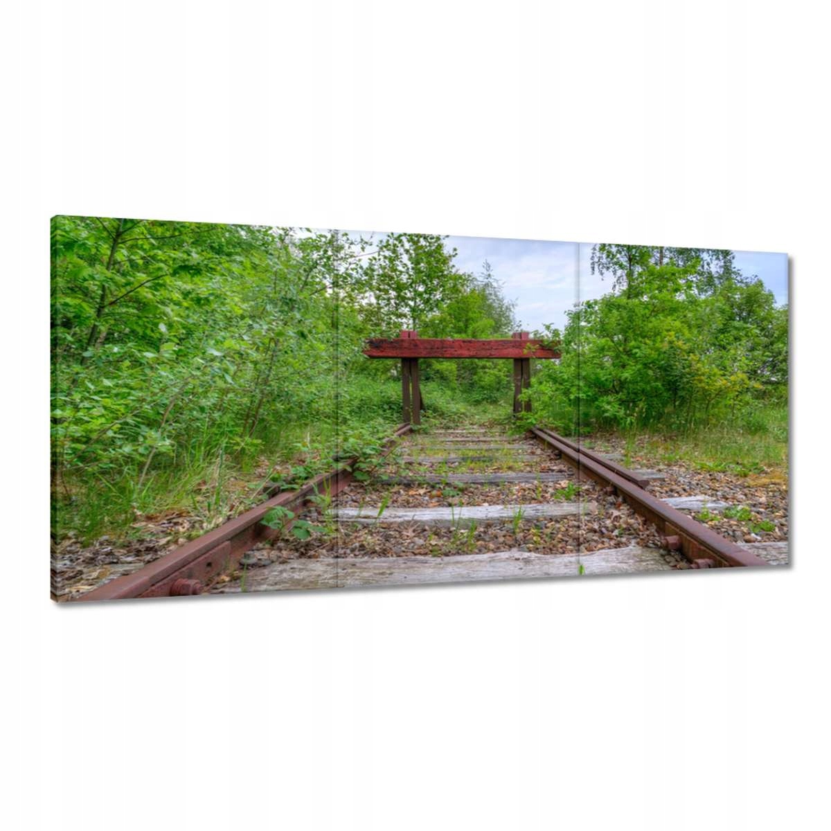 Obrazy 180x90 Železničné vlaky Trať