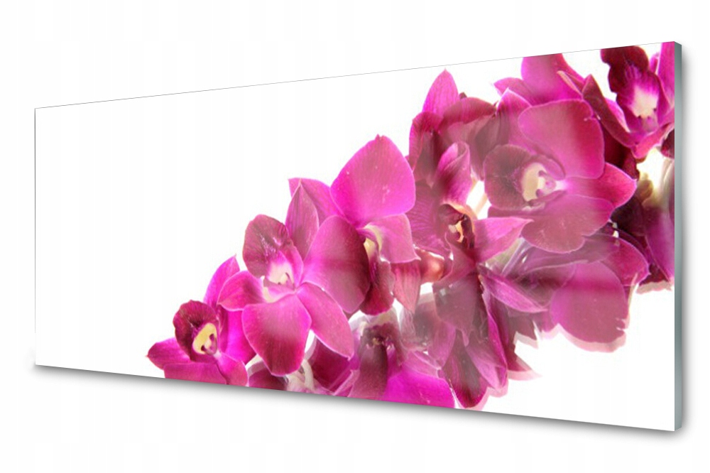 Sklenený panel do kuchyne Kvety Rastlina 125x50