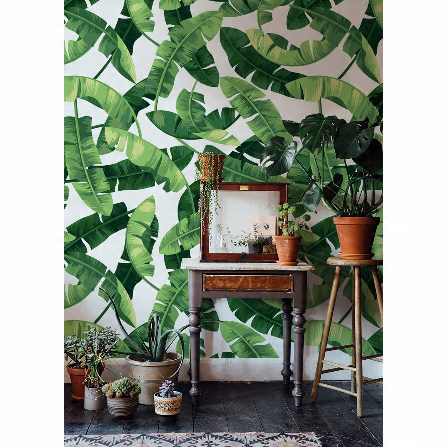 

Flizelina tapeta Banan liście egzotyczne 152x104cm
