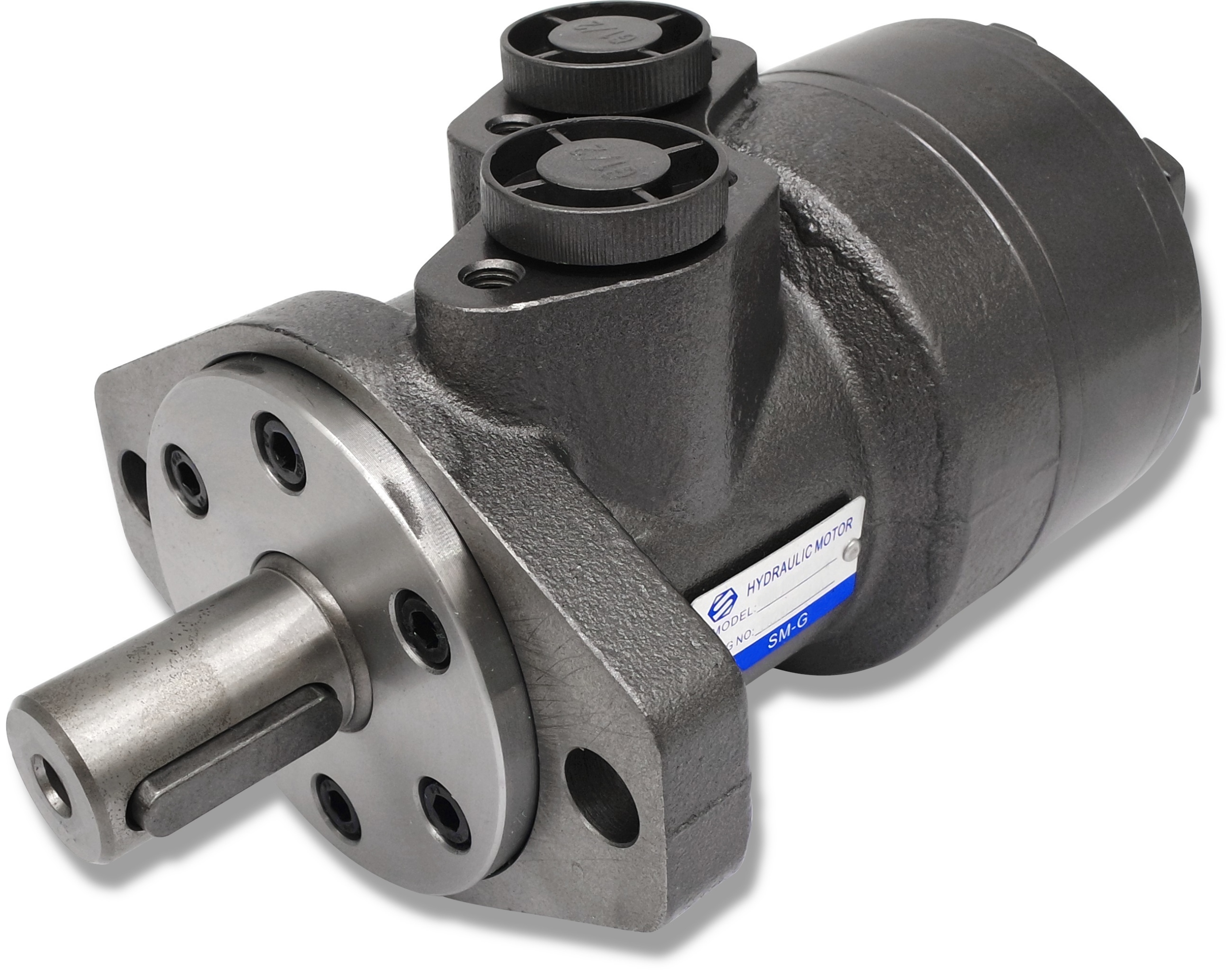 

Silnik Hydrauliczny Do Rębaka 160 cm3 GR2 Bmr Omp