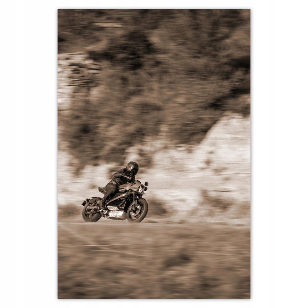 

Plakaty 62x93 Harley Davidson Motocykl