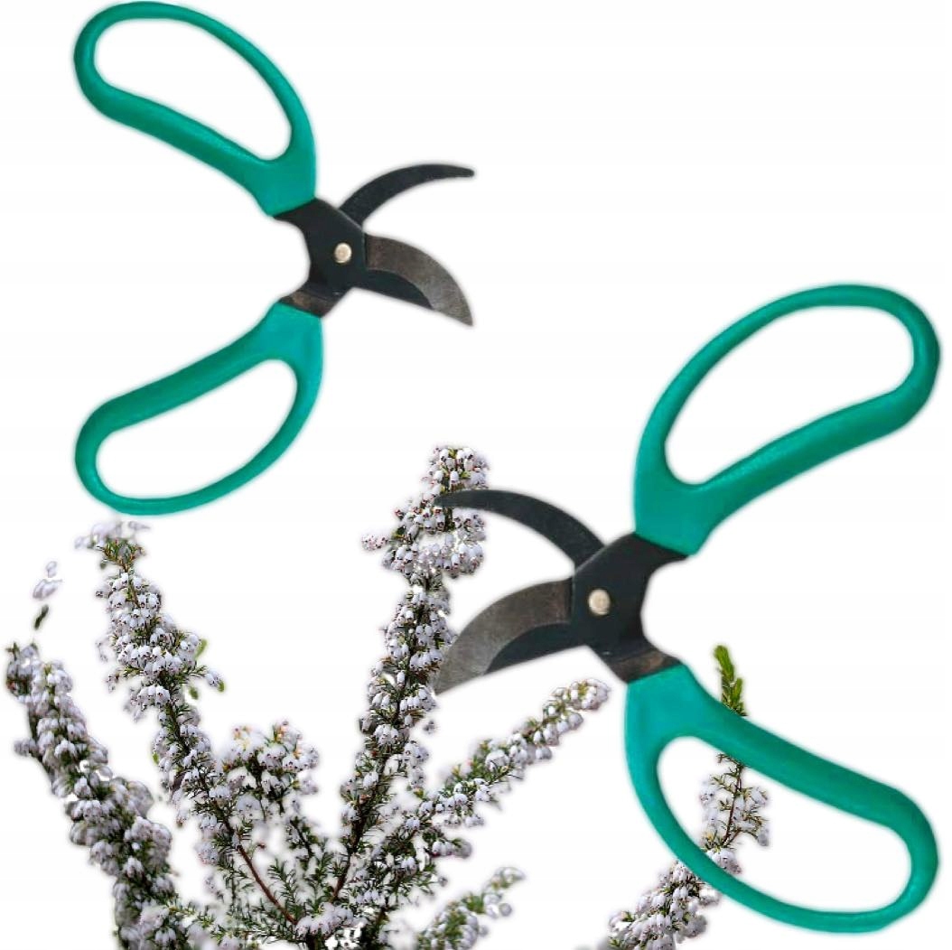 NOŻYCZKI SEKATOR DO PIELĘGNACJI ROŚLIN DOMOWYCH