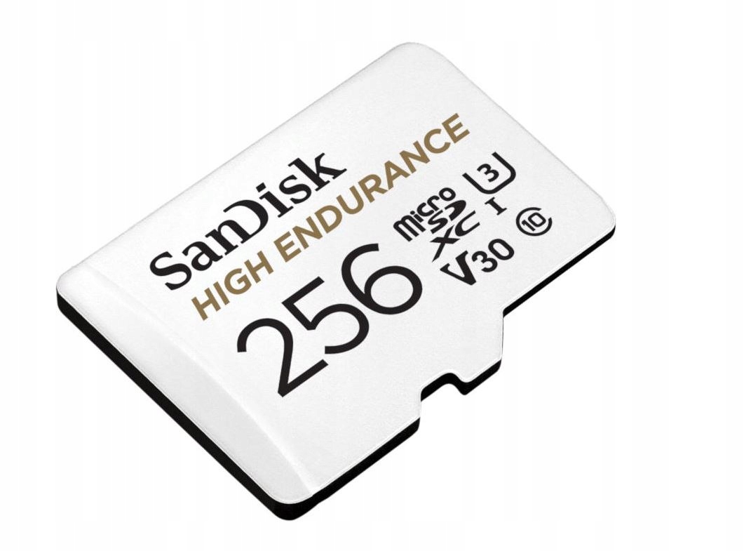 SanDisk 256GB MICRO SDXC High Endurance 100 MB/s