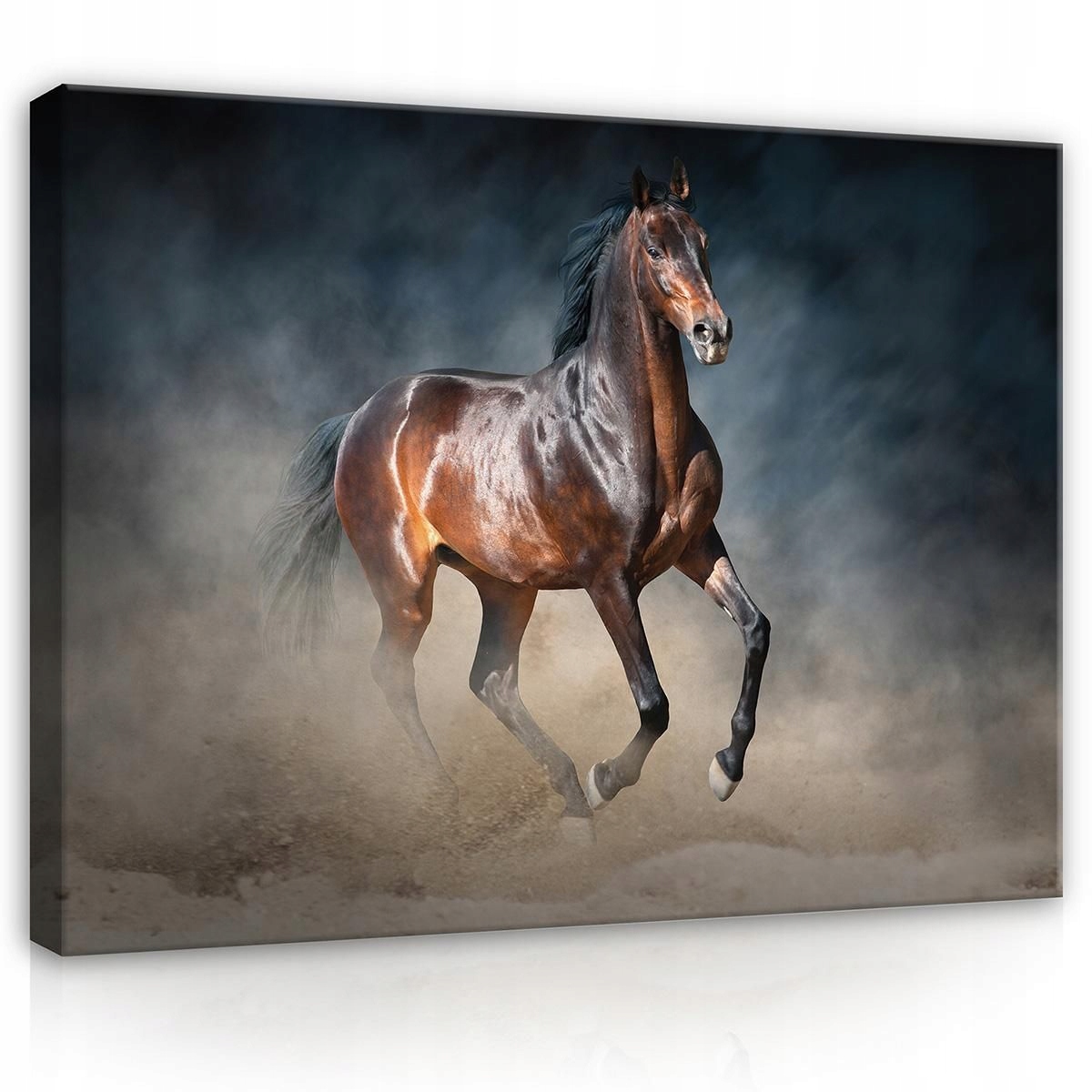 Obraz Na Plátně Canvas 100x75 Kůň Rumak Ogier