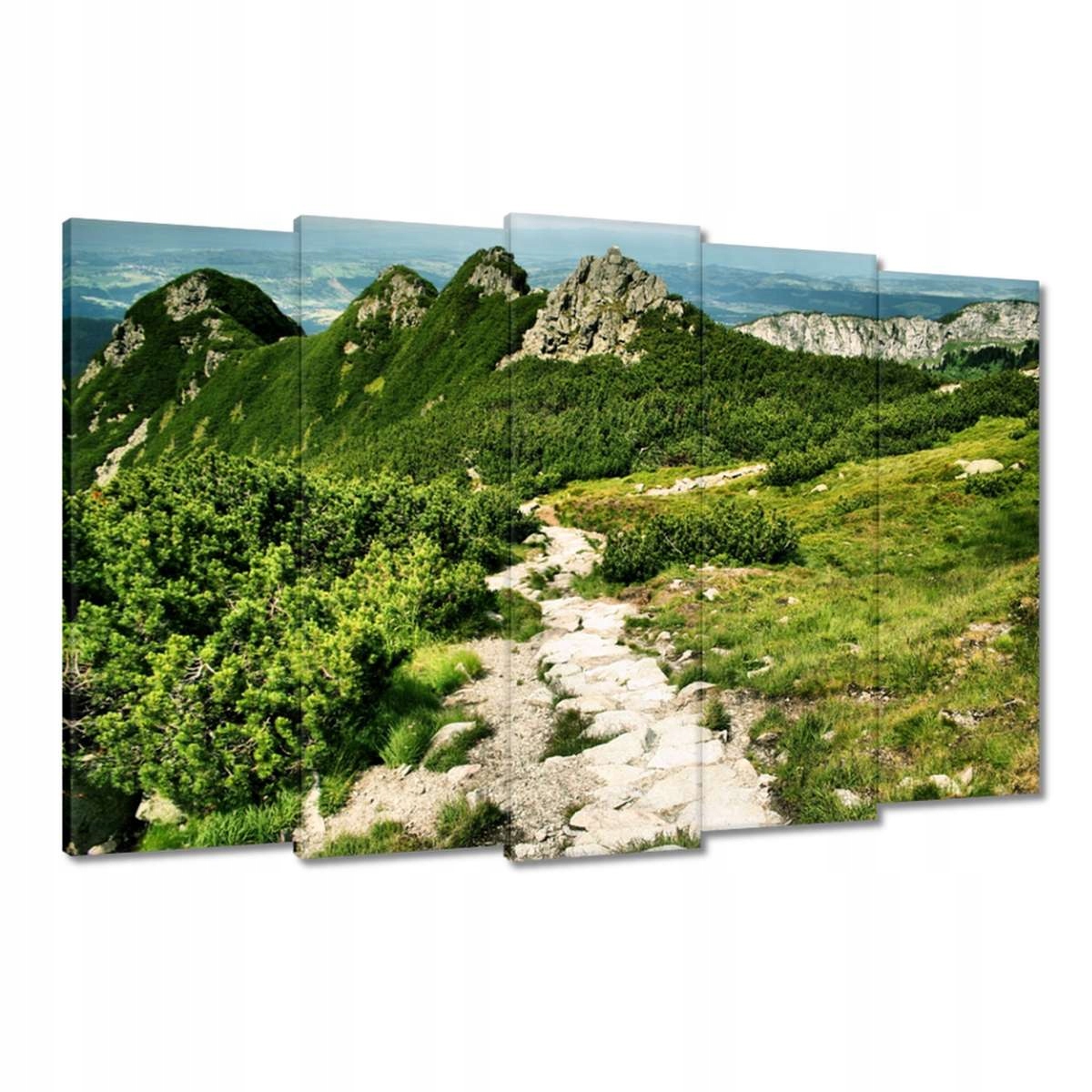Obrazy 150x95 Tatry Polské hory Pohled