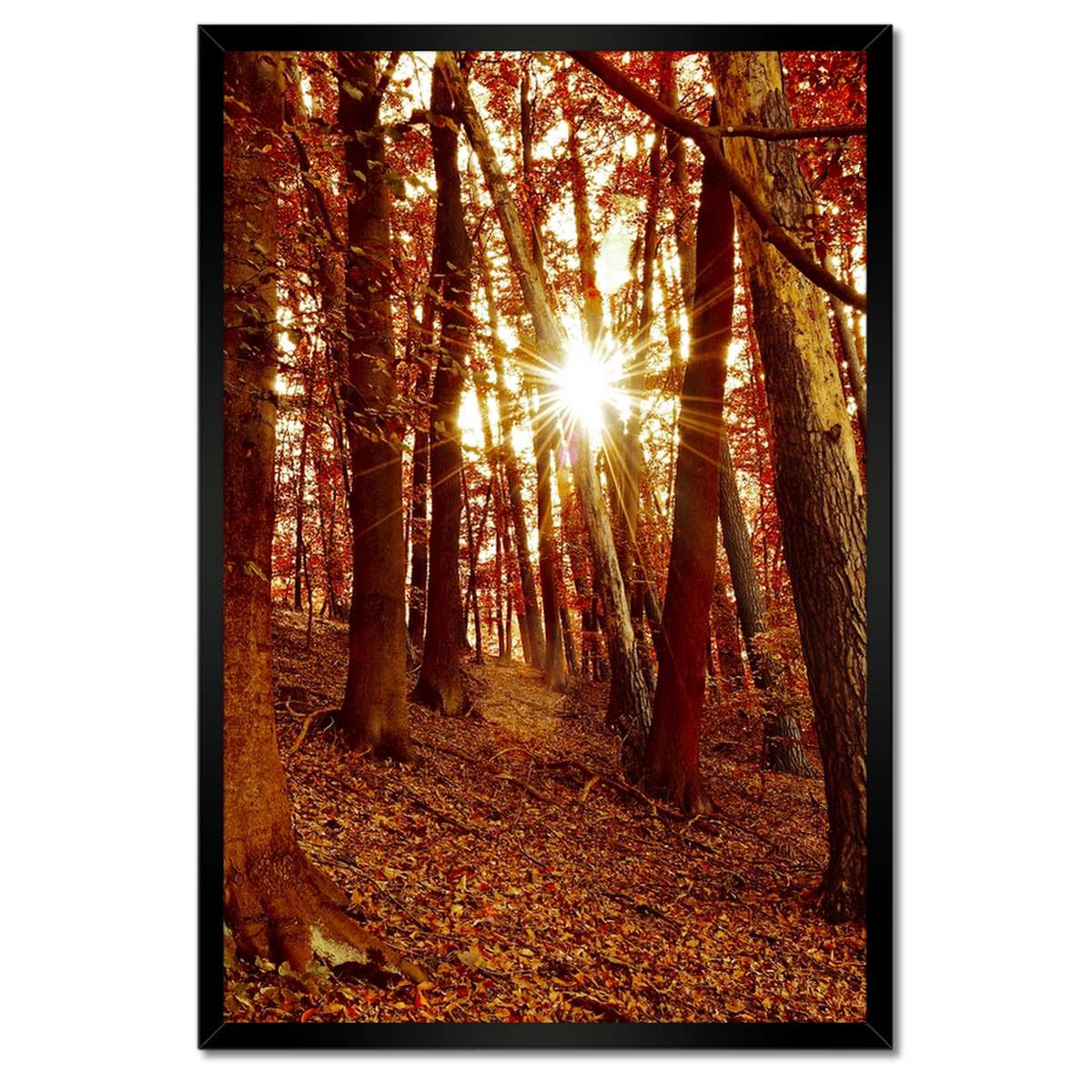 Plakáty v rámu 40x60 Krajina Pohled