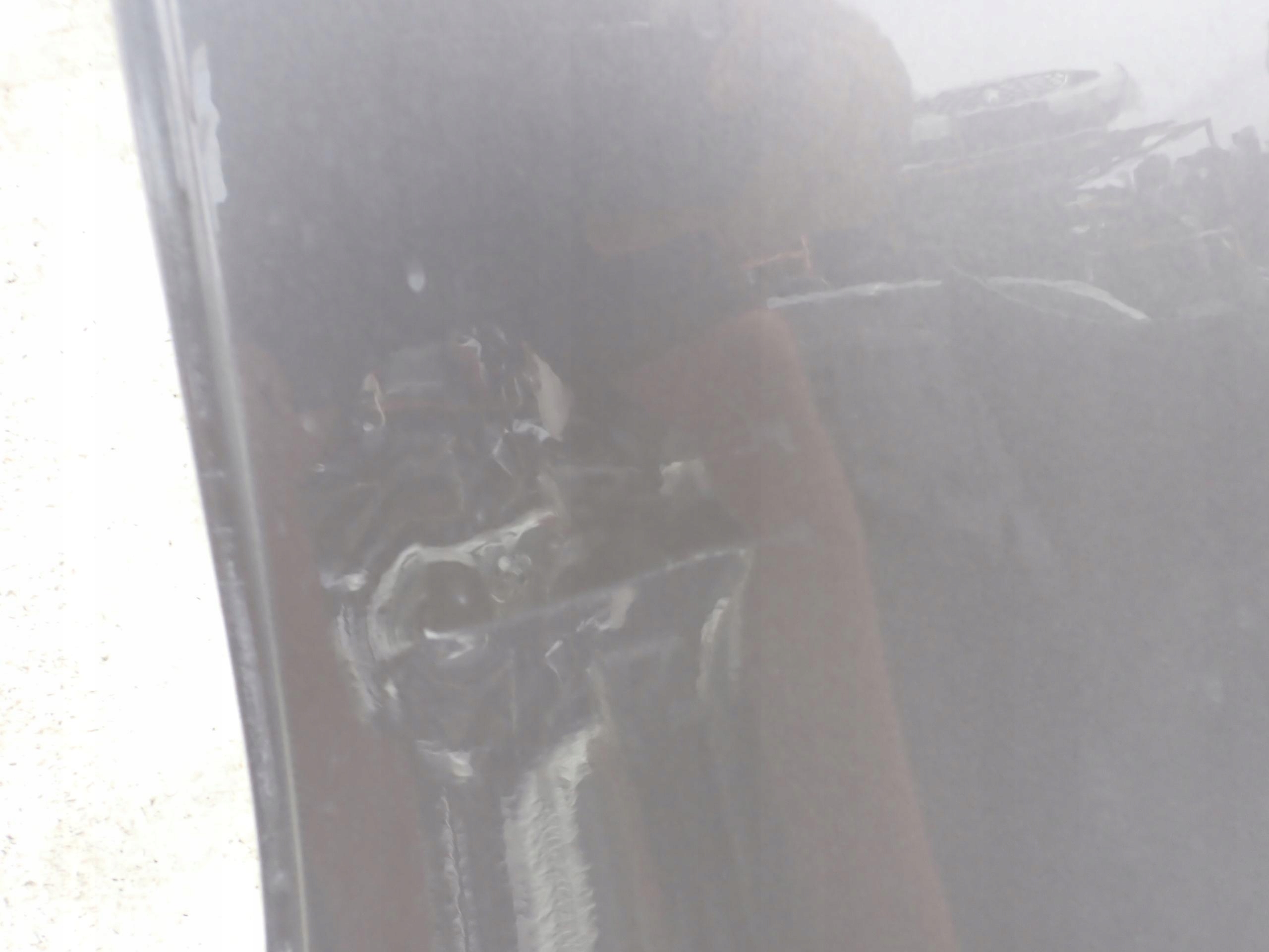 RENAULT SCENIC IV 16-> Tür links heck hinten