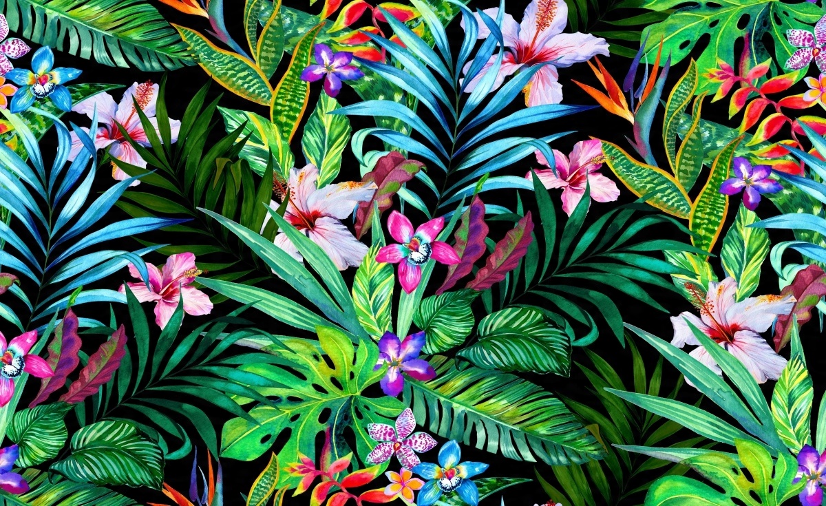 

Fototapeta Flizelina Tropikalne kwiaty 416x254