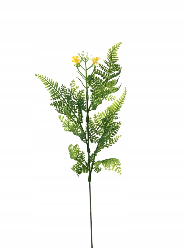 

Gałązka zielona paproć, dodatek 670-1 (yellow)