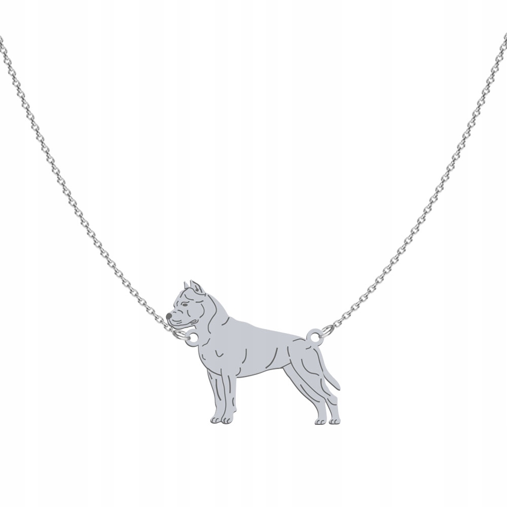 Stříbrný náhrdelník Amstaff 925 Dárek Řetízek Žena Gravírování Bonus
