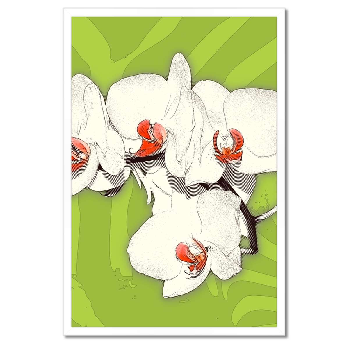 Plakáty v rámu 40x60 Limetka a orchidej