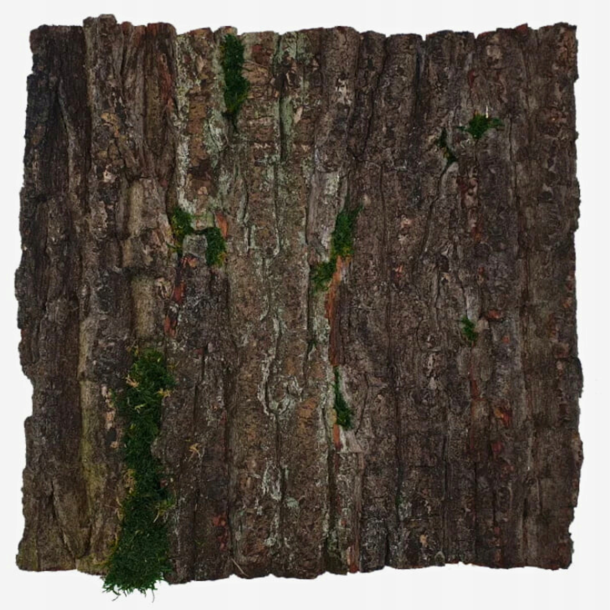 Dekorativní panel z dubové kůry a plochého mechu Přírodní mechová stěna