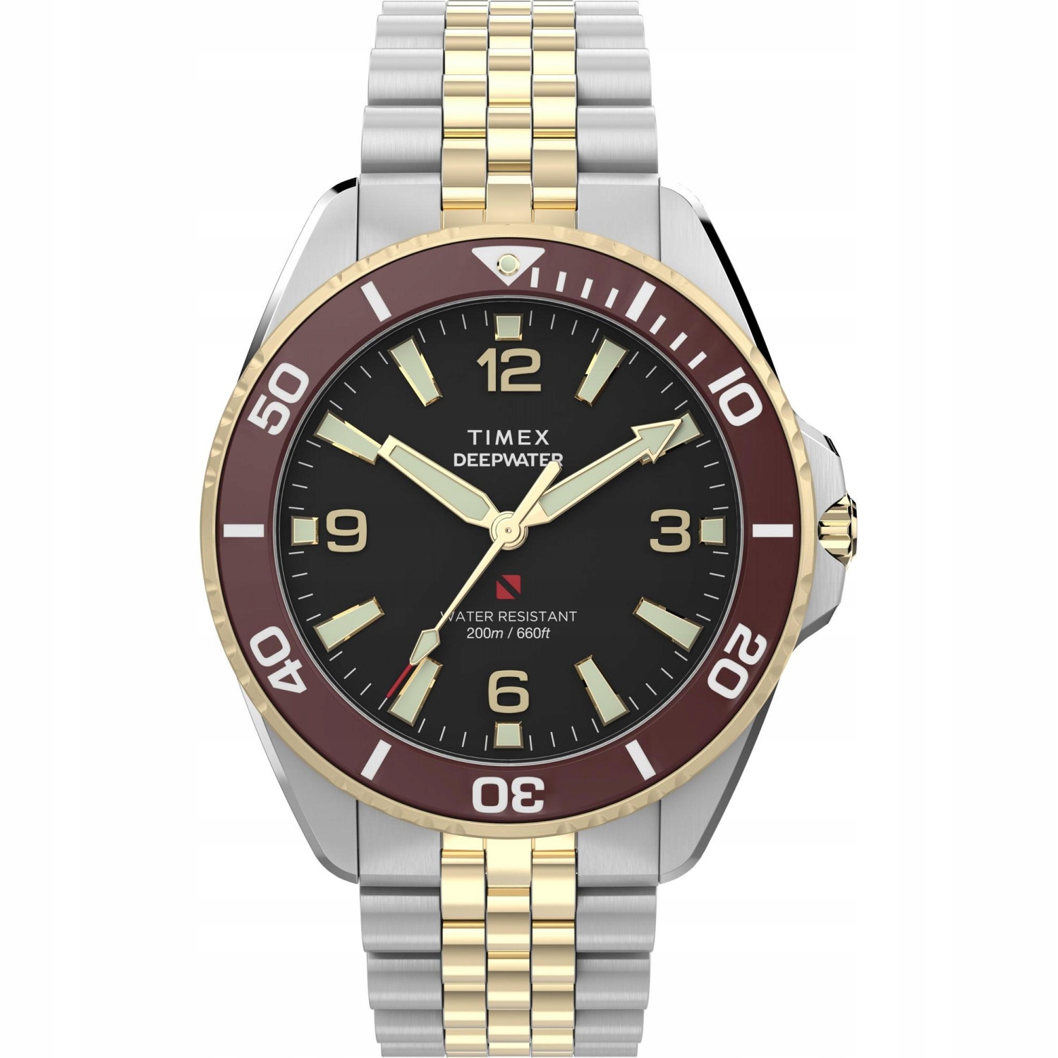 Pánské Hodinky Timex TW2Y64700 stříbrné