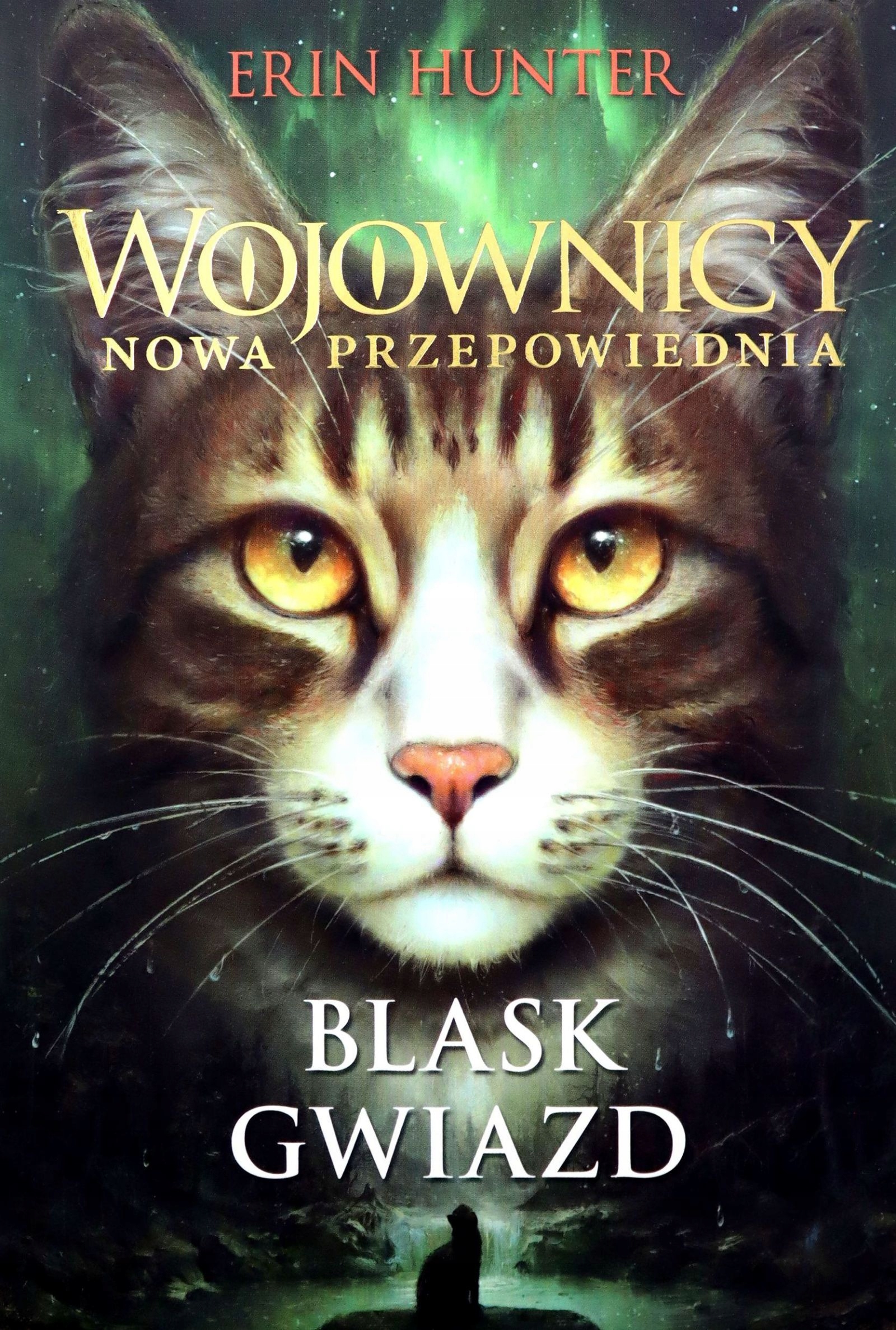Wojownicy. Nowa Przepowiednia (tom 4) Blask Gwiazd