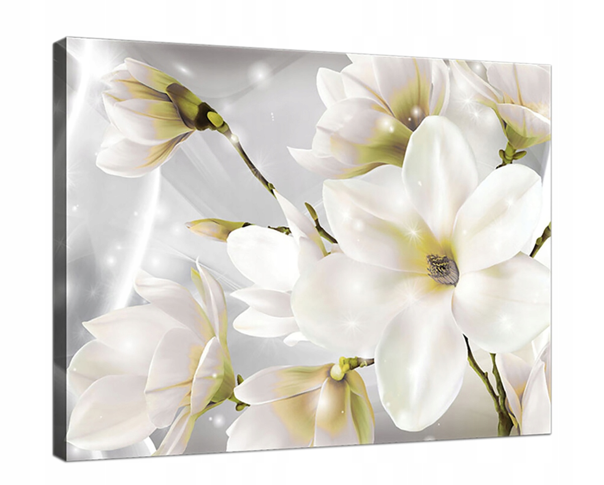 Obraz Na Plátně Canvas 100x75 BíLÉ Magnolie
