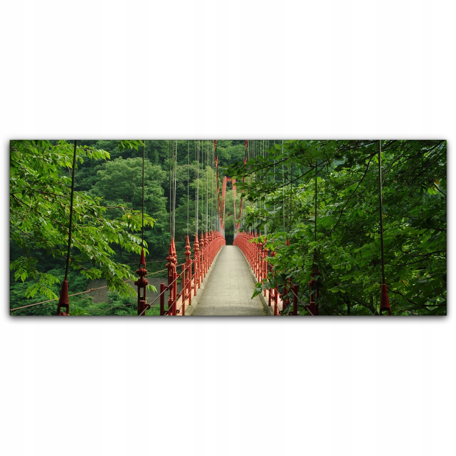 

Obraz na płótnie na ścianę 125x50 Most Las Drzewa